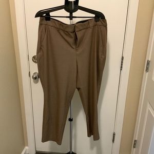Torrid Studio Pant 18 R Wheat Color